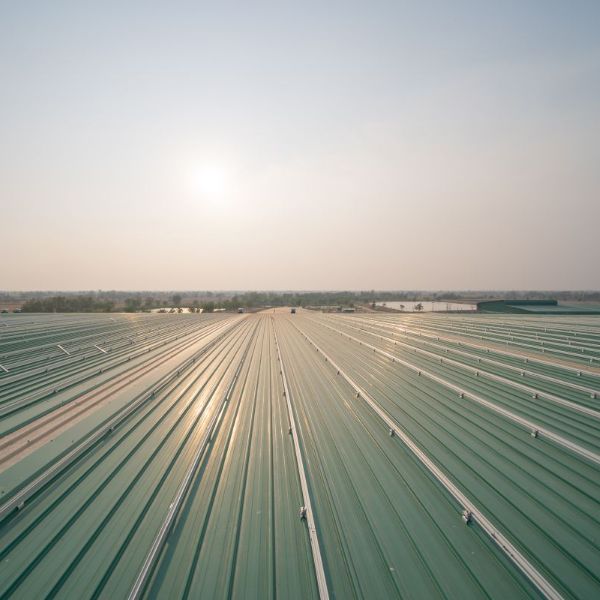Commercial roof painting